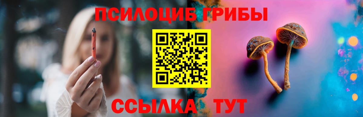 Псилоцибиновые грибы GOLDEN TEACHER  Псилоцибиновые грибы ЛСД  Истра  Вход с VPN 