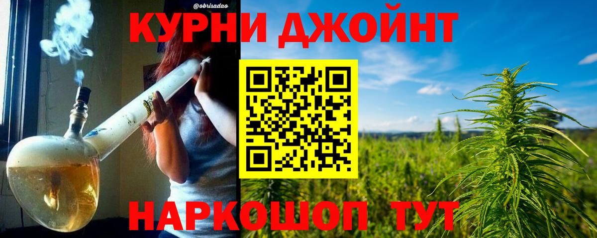 Истра  Шишки марихуана планчик  Марихуана планчик  МАРИХУАНА индика  Вход с VPN 